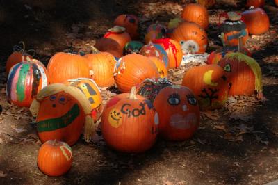 JPG CS Pumpkins DSC_8717.jpg