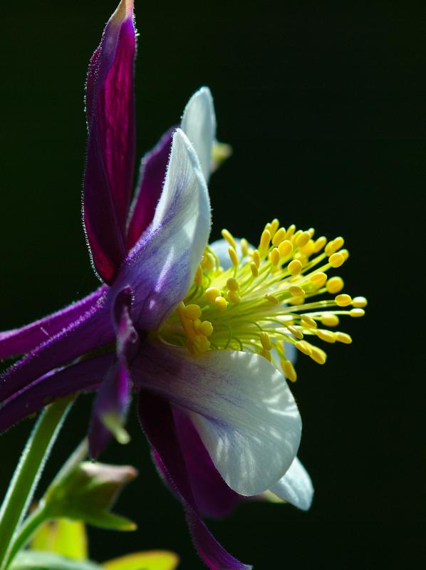 DSC_6676.JPG