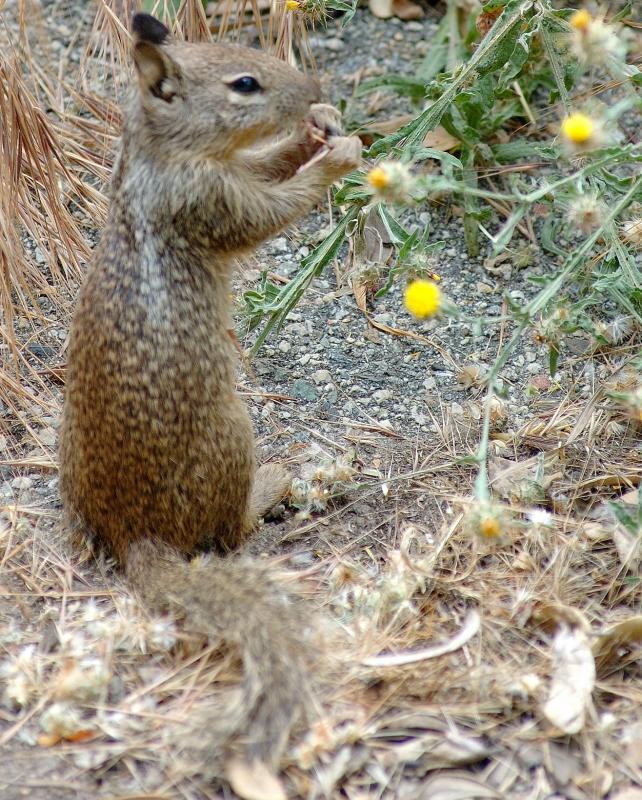 DSC_6797.jpg