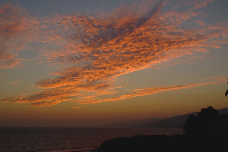 _DSC9998.jpg