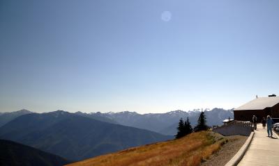 We went off to Hurricane Ridge in Olympic National Park.