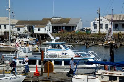 We went whale watching in this little guy.