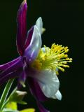DSC_6676.JPG