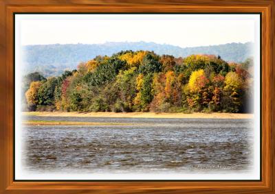 Autumn Colors