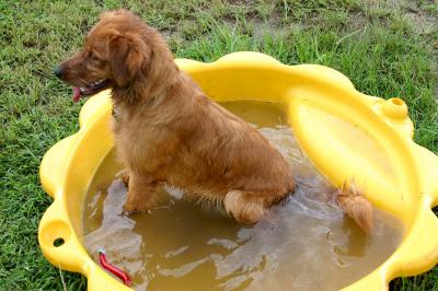 Darby sitting pool