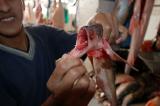Market - fish