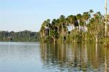 Lago Sandoval