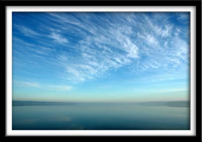 The Fog