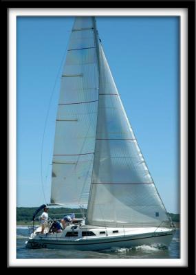 v3/78/455178/3/45258477.27_LegacyBigSail_resize.jpg
