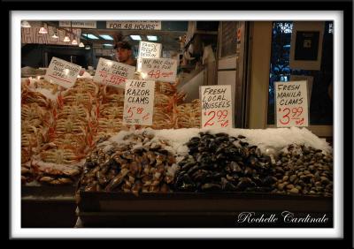 Live Razor Clams