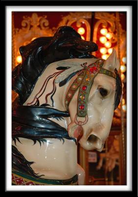 Carousel Horse 1