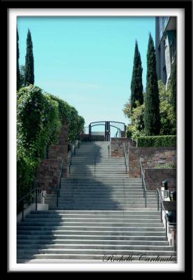 Garden Steps