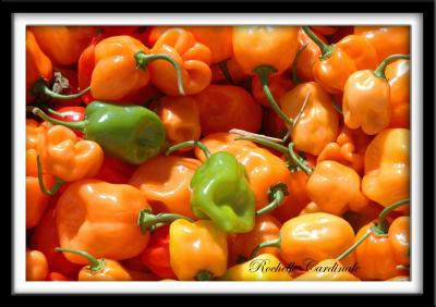 Habanero