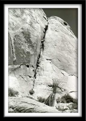 Crack in Desert Cliff