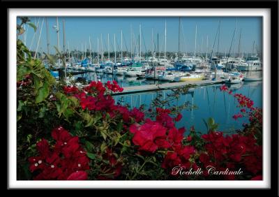 Marina and Floral Frame