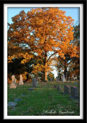 Bronze Lit Headstone