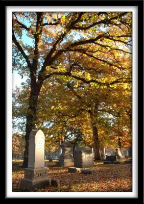 Woodland Cemetery_Vertical