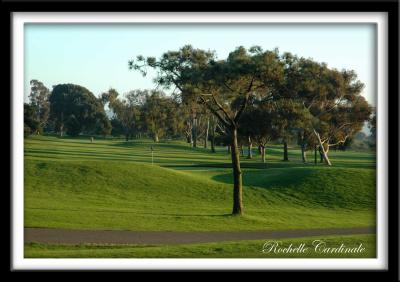 Torrey Pines Golf Course in Late Sun