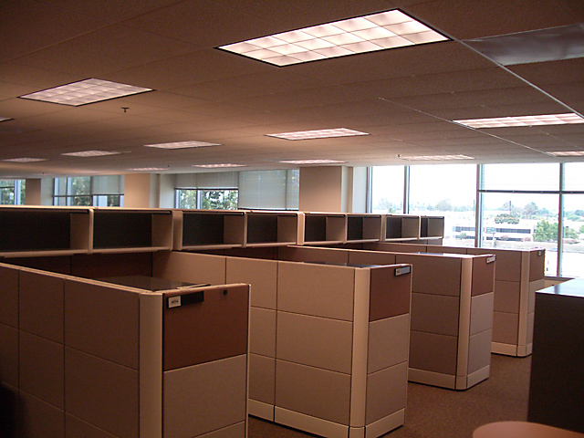 Cube Farm