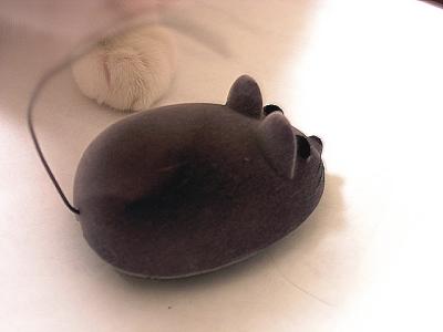 v3/78/459878/3/48199389.paw_mouse.jpg