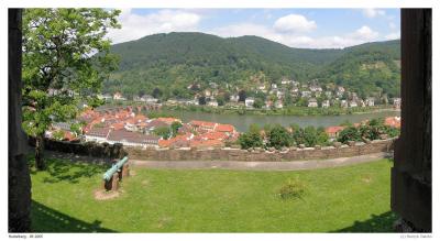 Widok z Heidelberger Schloss