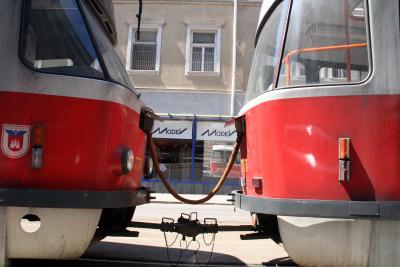 v3/78/490178/3/45522591.IMG_9584.jpg