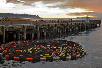 Containment Boom, Waterfront