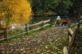 Couple on Bench, Greenlake