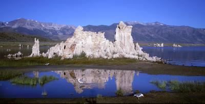 Mono Lake seagulls and tufa