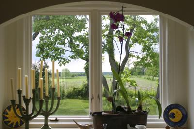 Kitchen window,springtime