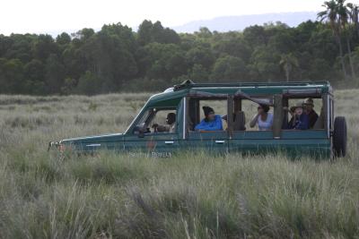 A safari sightseeing jeep