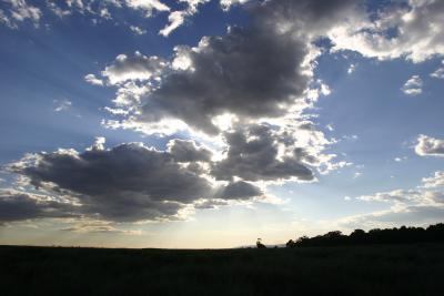 Dusk Scene