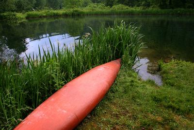 Kayak Among the Grasses
