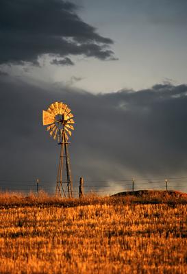 Wyoming Grasslands