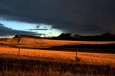 The Stark Beauty of Wyoming