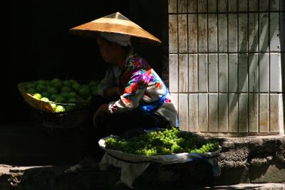 Selling The Harvest