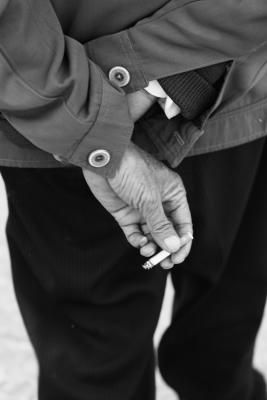 The Habit
