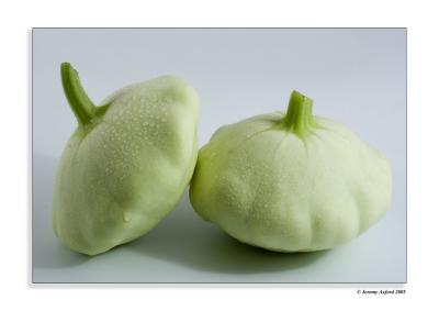 IMG_3204 Patty Pan