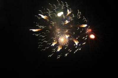 DSC_0083.JPG