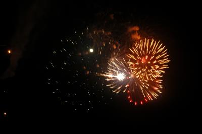 DSC_0087.JPG