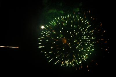 DSC_0099.JPG