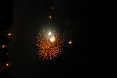 DSC_0103.JPG