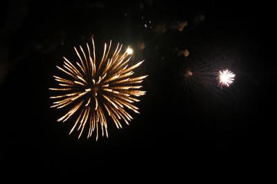 DSC_0123.JPG