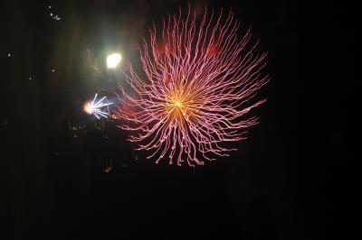 DSC_0183.JPG