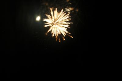 DSC_0193.JPG