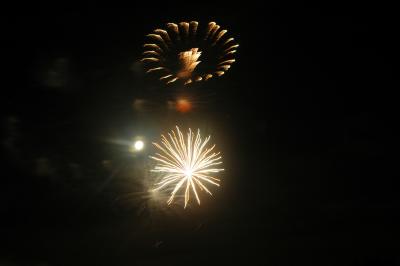 DSC_0218.JPG