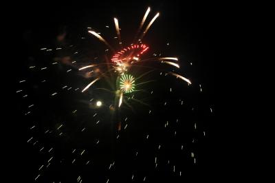 DSC_0223.JPG