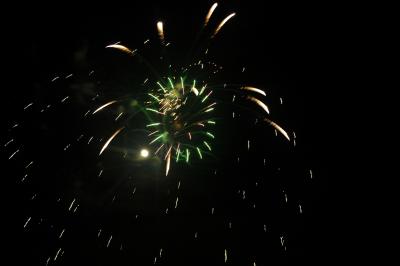 DSC_0224.JPG