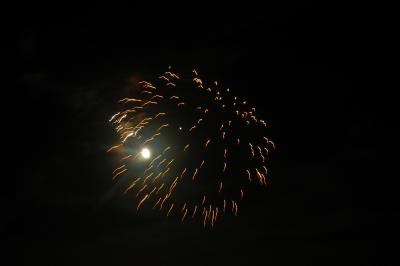 DSC_0227.JPG
