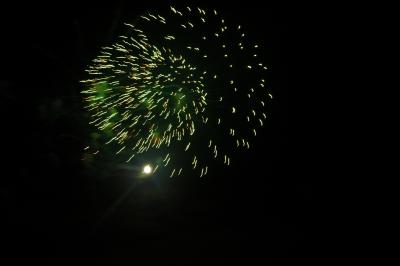 DSC_0230.JPG